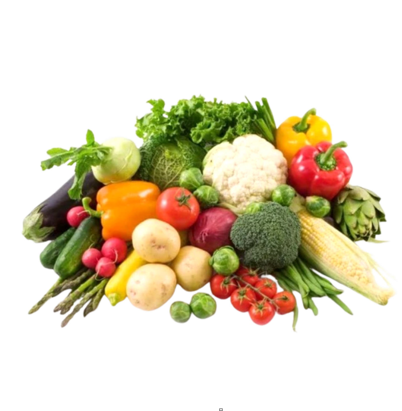 vegetable export